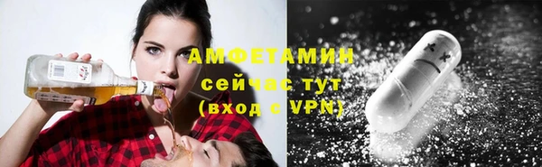 винт Абаза